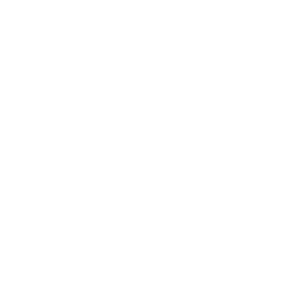 Digital Marketing Icon