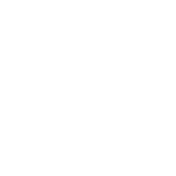 Ecommerce Development Icon